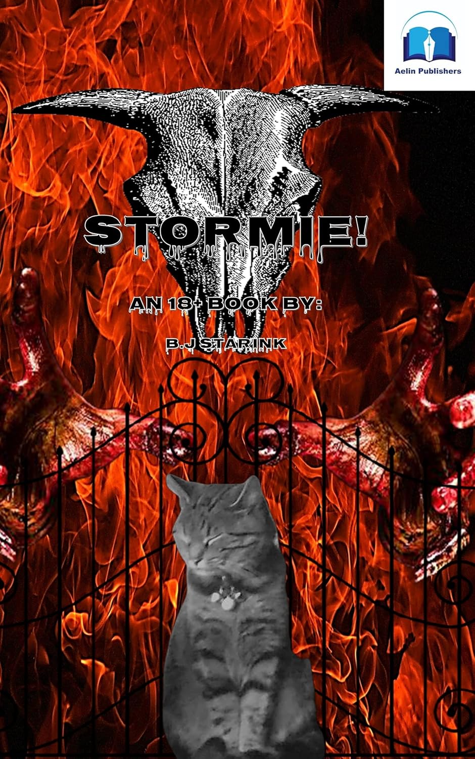 Stormie! book cover